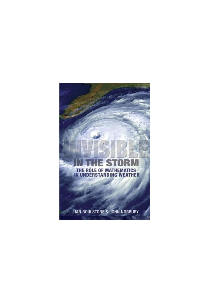 Invisible in the Storm: The Role of Mathematics in Understanding Weather