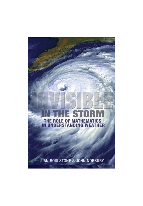 Invisible in the Storm: The Role of Mathematics in Understanding Weather