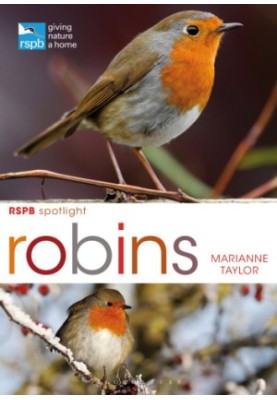 RSPB Spotlight: Robins