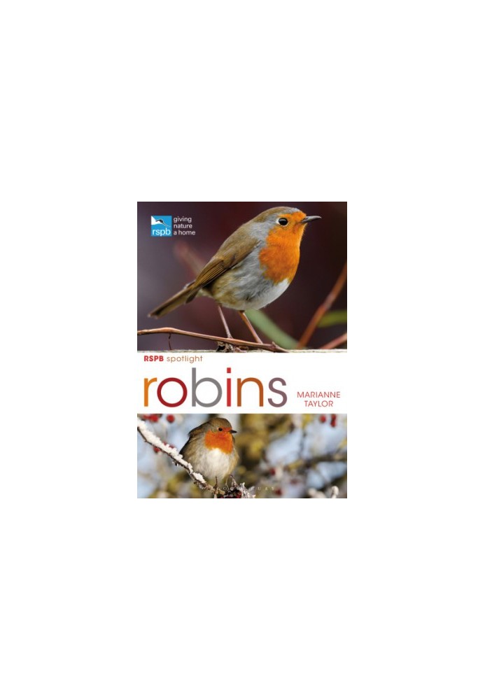 RSPB Spotlight: Robins