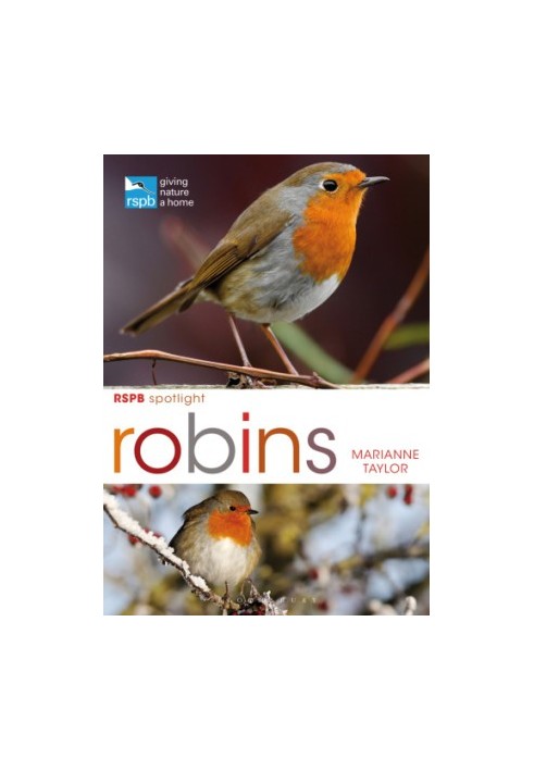 RSPB Spotlight: Robins