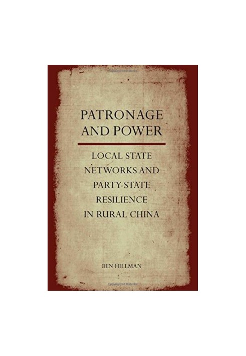 Power and patronage : local state networks and party-state resilience in rural China