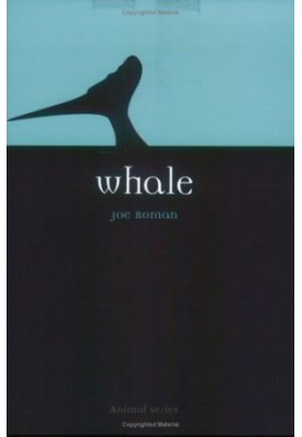 Whale (Reaktion Books - Animal)