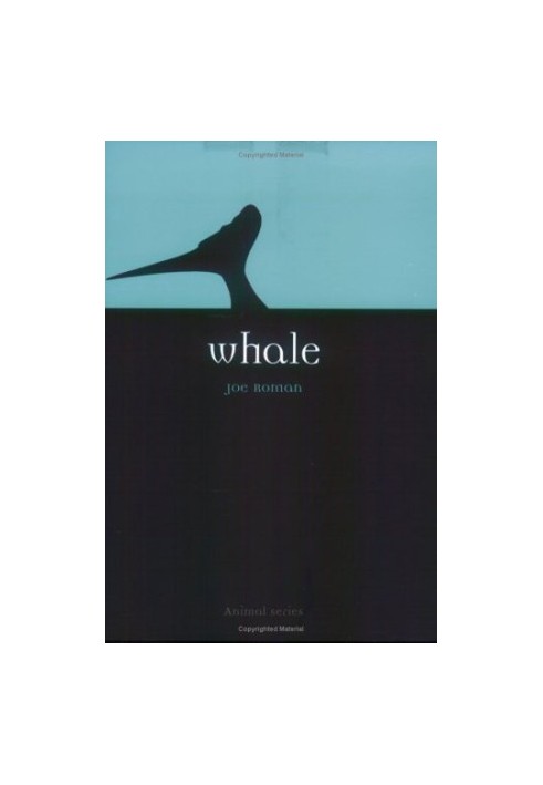 Whale (Reaktion Books - Animal)