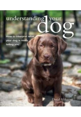 Understanding Your Dog: How To Interpret What Your Dog Is Really Telling You