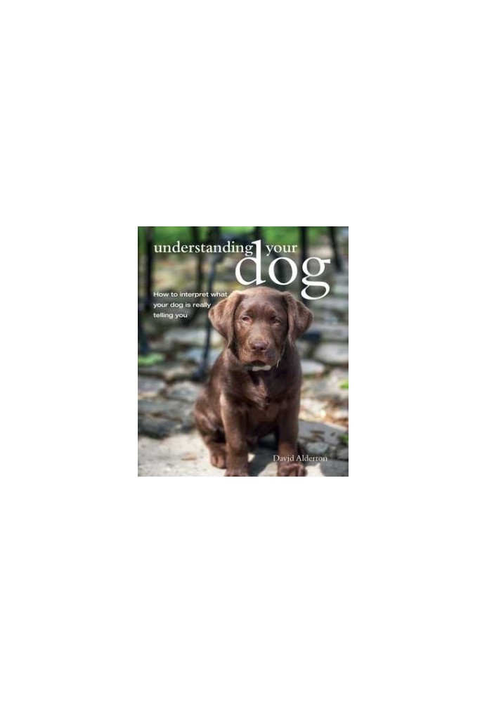 Understanding Your Dog: How To Interpret What Your Dog Is Really Telling You