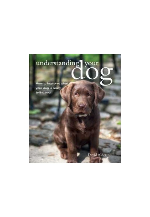 Understanding Your Dog: How To Interpret What Your Dog Is Really Telling You