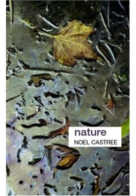 Nature (Key Ideas in Geography)