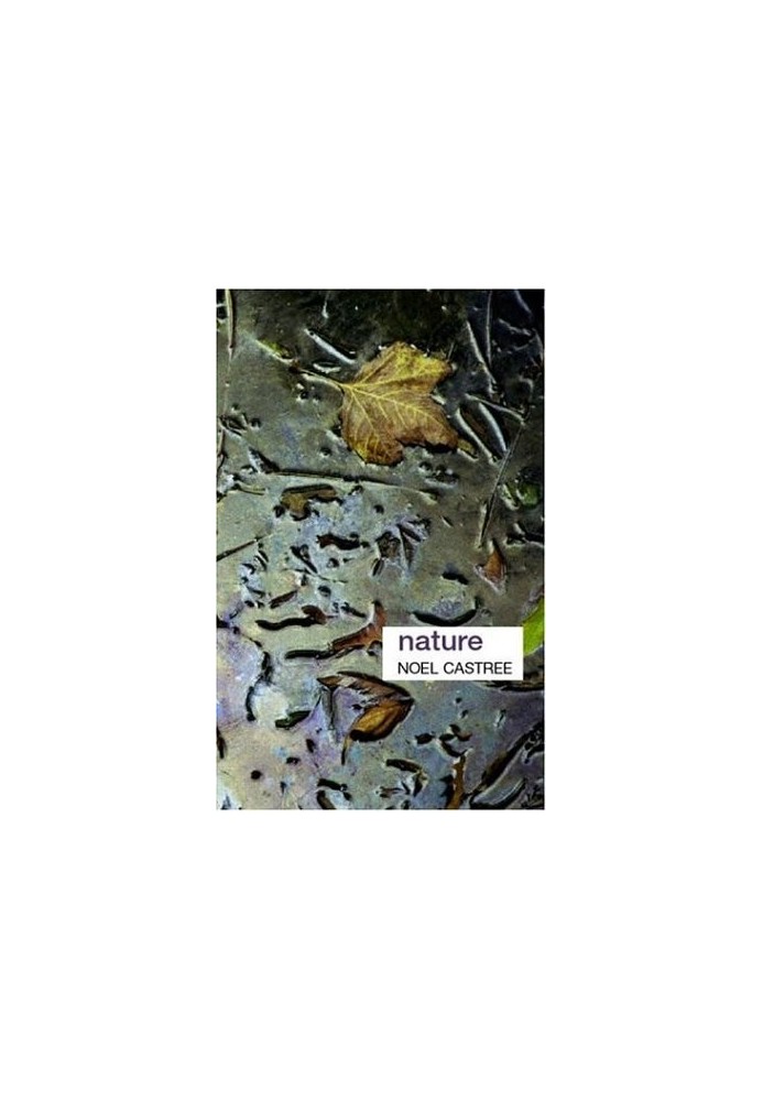 Nature (Key Ideas in Geography)