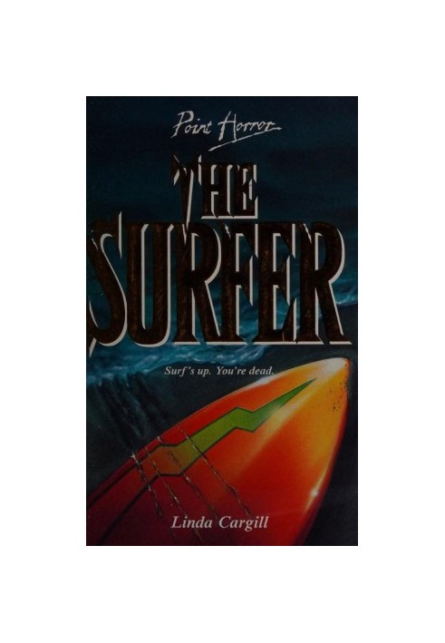 The surfer