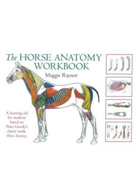The Horse Anatomy Workbook: A Learning Aid for Students Based on Peter Goody's Classic Work, Horse Anatomy