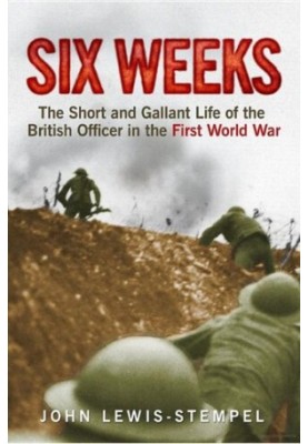 Six Weeks: The Short and Gallant Life of the British Officer in the First World War