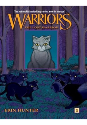 The Lost Warrior