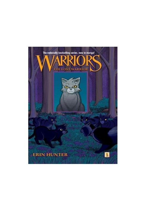 The Lost Warrior