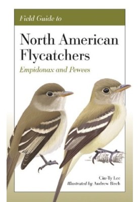 Field Guide to North American Flycatchers: Empidonax and Pewees
