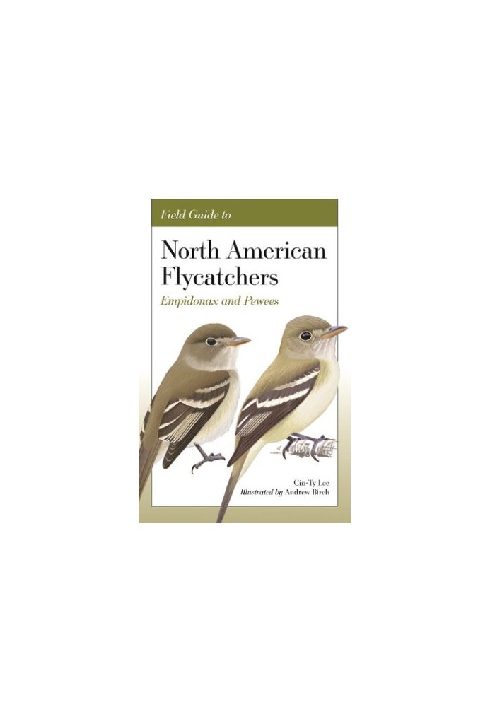 Field Guide to North American Flycatchers: Empidonax and Pewees