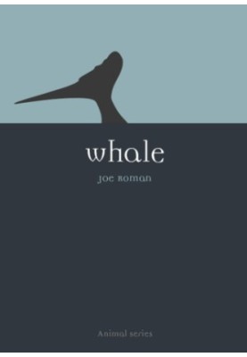 Whale