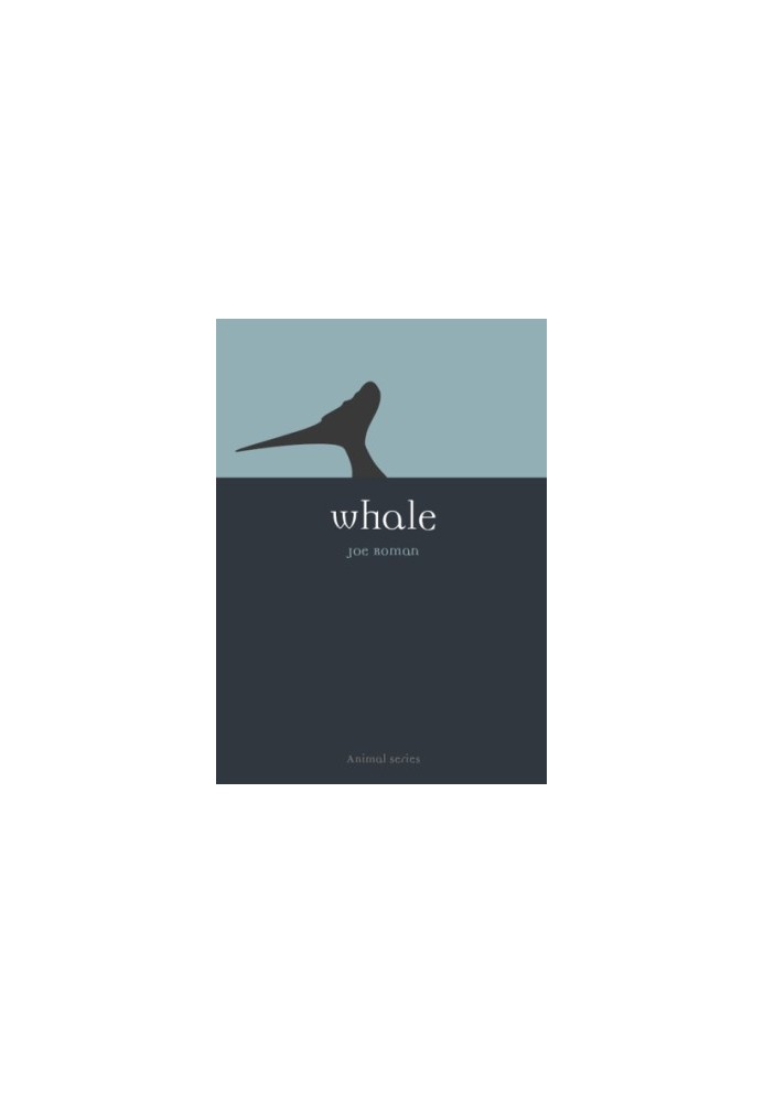 Whale