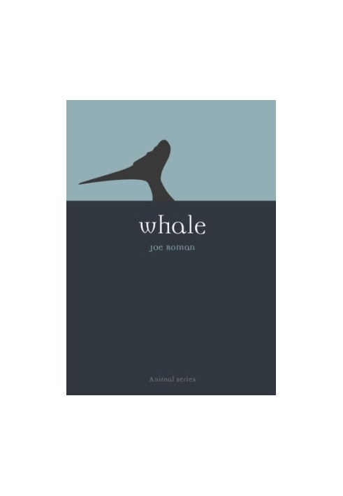 Whale