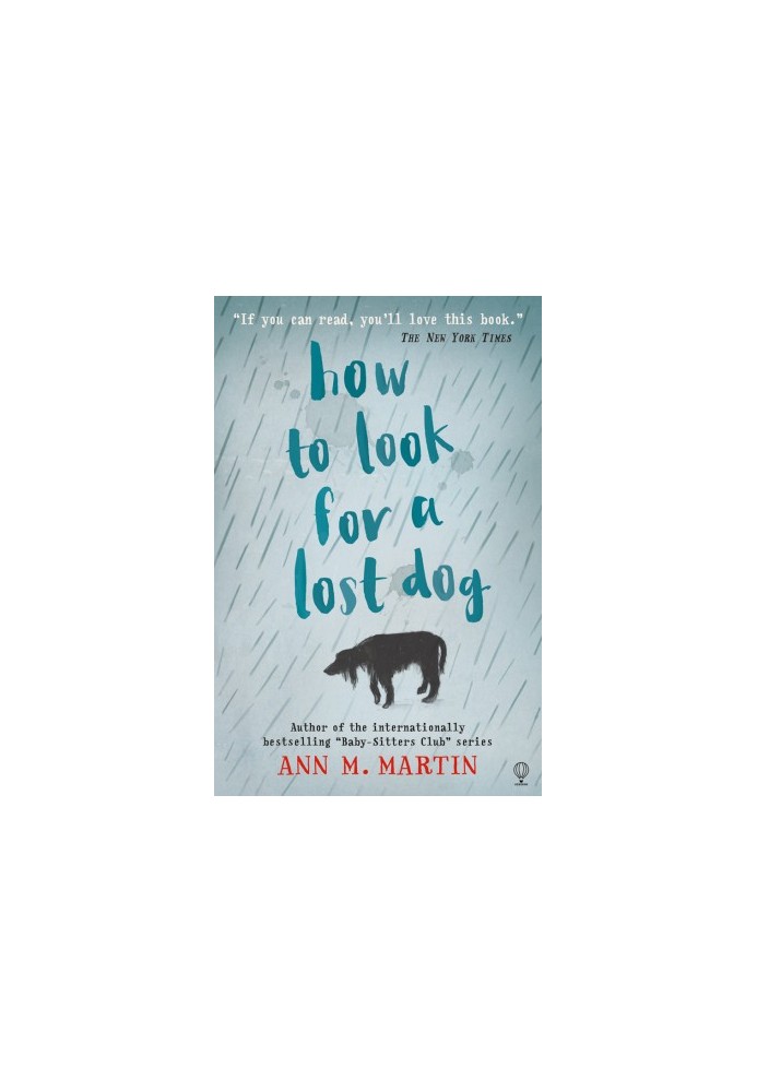 How to Look for a Lost Dog