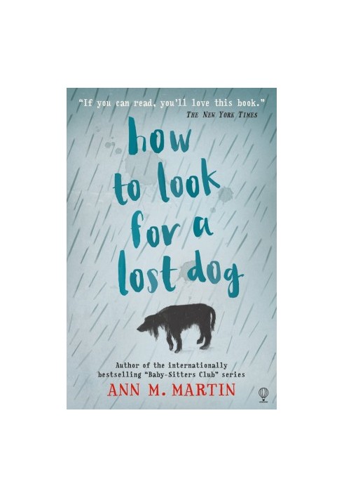 How to Look for a Lost Dog