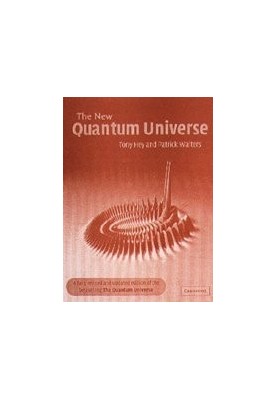 The New Quantum Universe