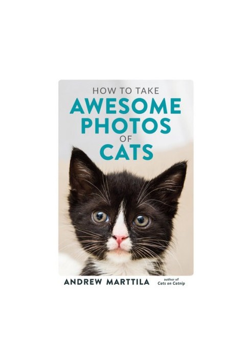 How to Take Awesome Photos of Cats