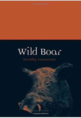 Wild Boar