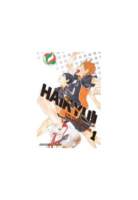 Haikyu!! Vol. 1 Hinata and Kageyama