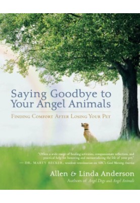 Saying Goodbye to Your Angel Animals: Finding Comfort after Losing Your Pet