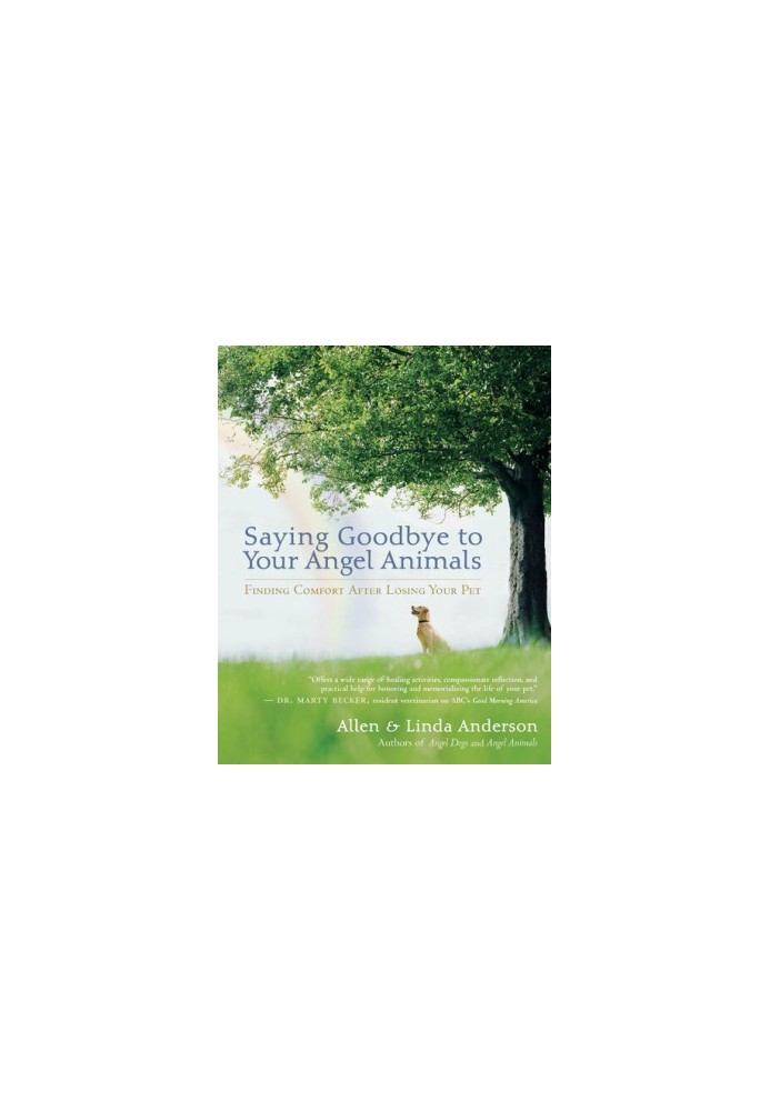 Saying Goodbye to Your Angel Animals: Finding Comfort after Losing Your Pet