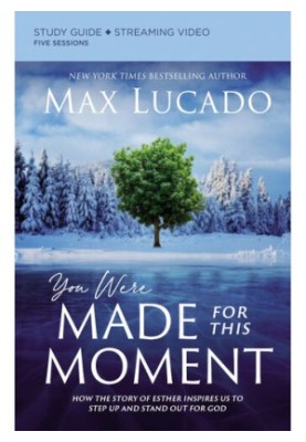 You Were Made for This Moment Study Guide
