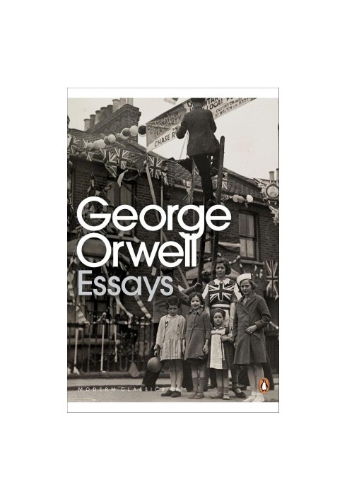 Essays