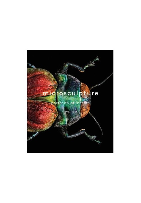 Microsculpture portraits of insects -Vearsa