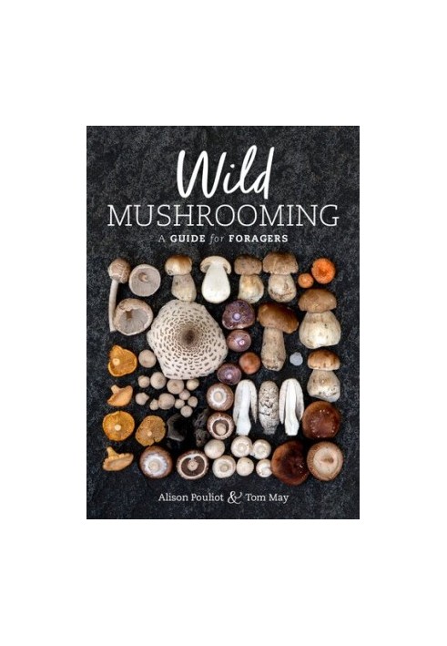 Wild Mushrooming