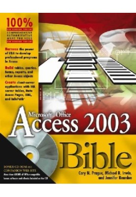 Access 2003 Bible