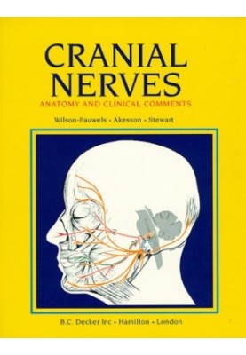 Cranial Nerves - Anatomy and Clinical Comments