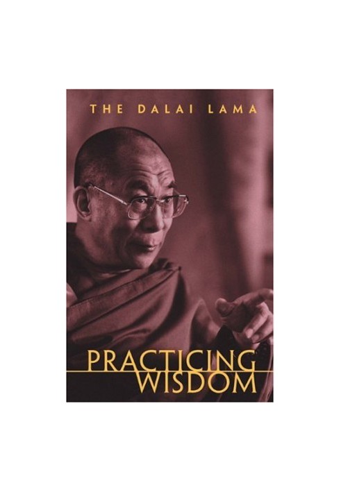 Practicing wisdom: the perfection of Shantideva's Bodhisattva way