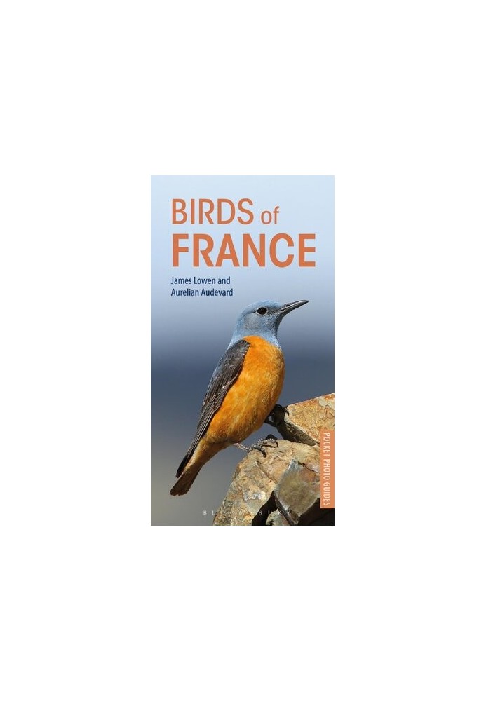 Birds of France (Pocket Photo Guides)
