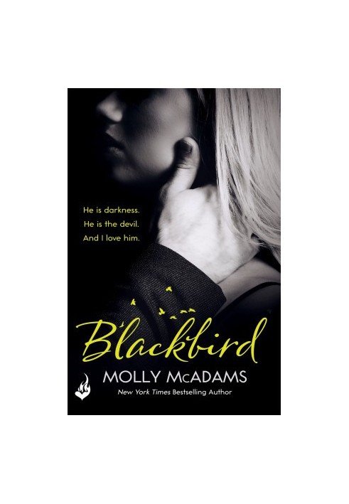 [Redemption 01] • Blackbird