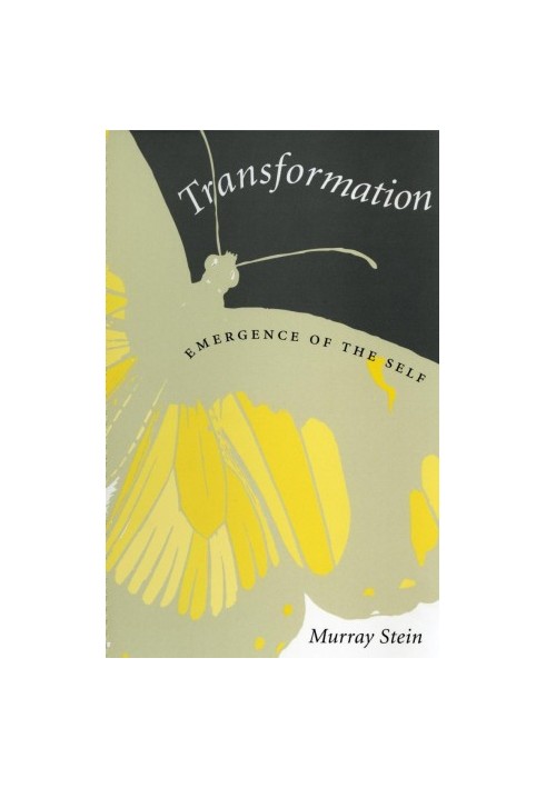 Transformation: Emergence of the Self (CAROLYN AND ERNEST FAY SERIES IN ANALYTICAL PSYCHOLOGY)