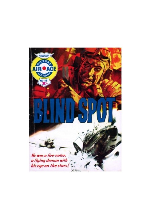 Blind Spot
