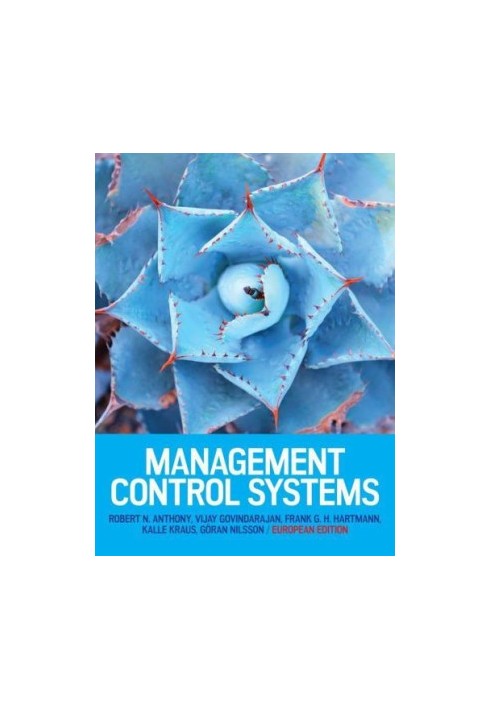 Management Control Systems