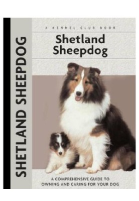 Shetland Sheepdog