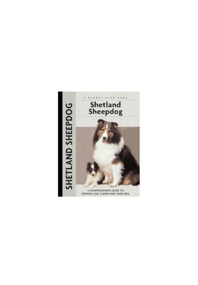 Shetland Sheepdog