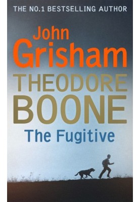 The Fugitive - Theodore Boone 5