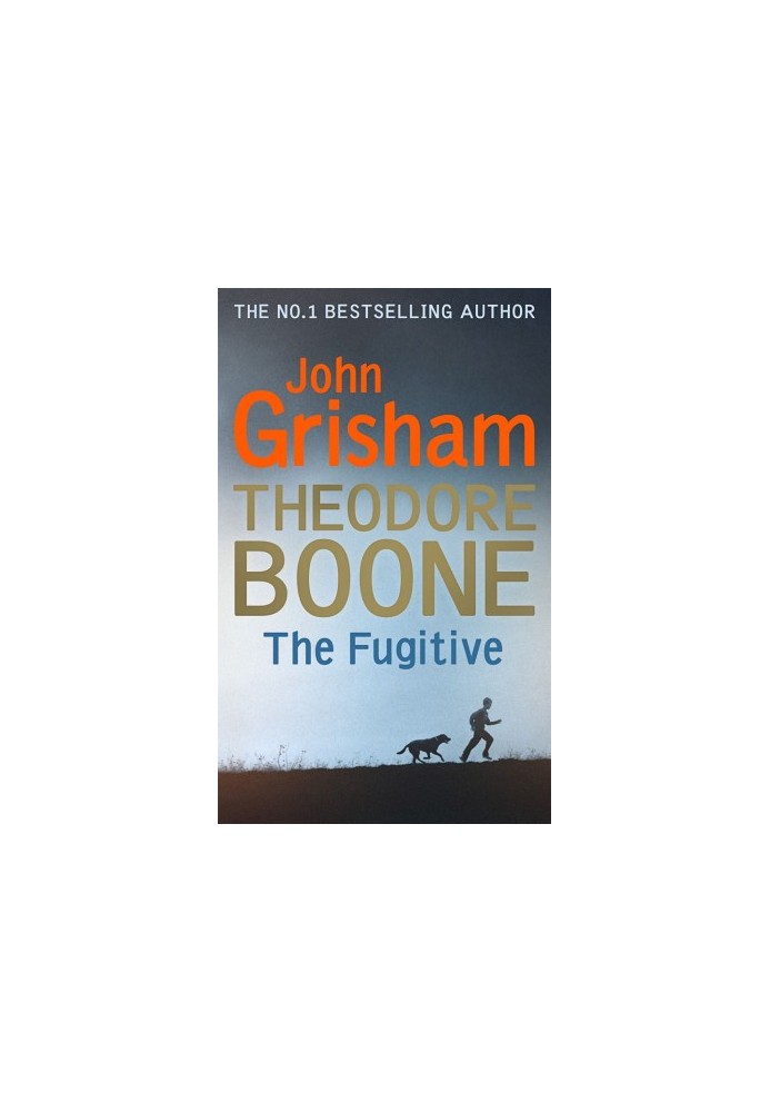 The Fugitive - Theodore Boone 5