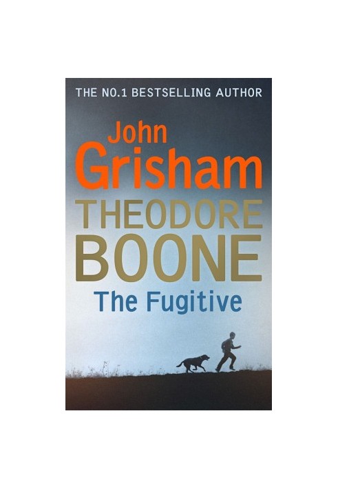 The Fugitive - Theodore Boone 5