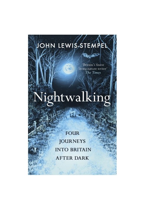 Nightwalking: Four Journeys into Britain After Dark