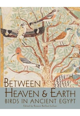 Between Heaven and Earth: Birds in Ancient Egypt